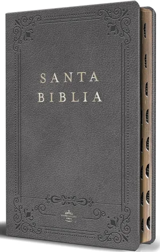 Biblia RVR 1960 Letra Grande Tamaño Manual, Piel Gris Con Índice